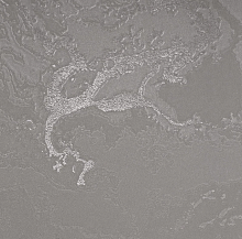 Коричневые обои в зал Bernardo Bartalucci Gaga  84282-20