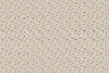 Factura ERBA ROSA ERBA ROSA 6